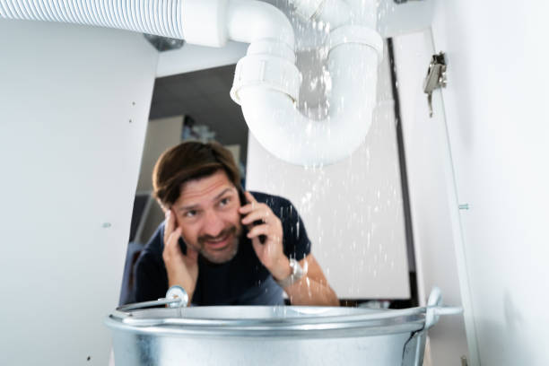  Raintree Plantation, MO Plumbing Pros
