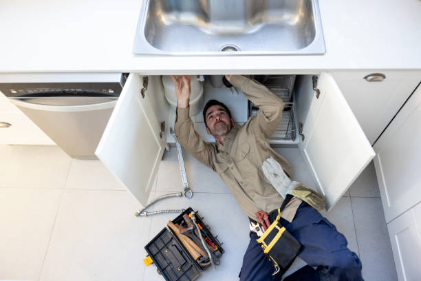 Best Clogged Drain Plumber  in Raintree Plantation, MO